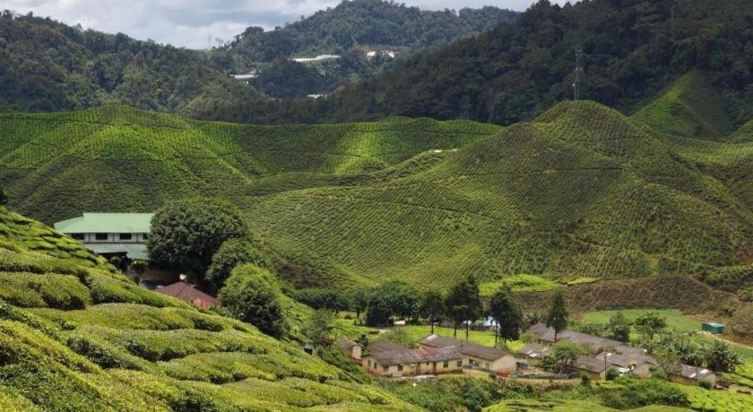 Hotel Oyo 1231 Ar Rayyan Boutique Cameron Highlands